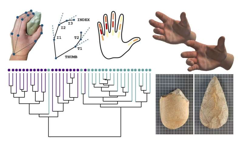 A study analyzes the ergonomic relationship between hand and Lower Paleolithic tools