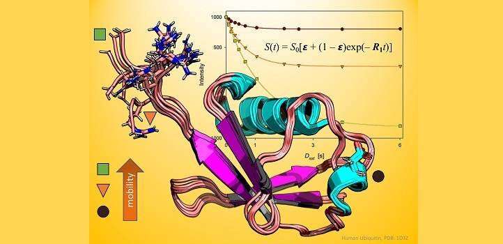 Old methods prove true for studying proteins