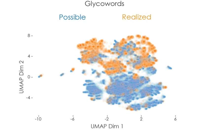 Deep learning and bioinformatics tools enable in-depth study of glycan molecules for understanding infections
