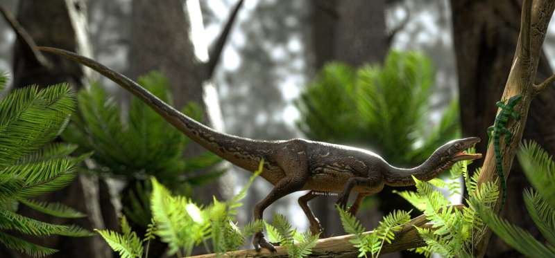 Researchers reconstruct the first complete brain of one of the oldest dinosaurs