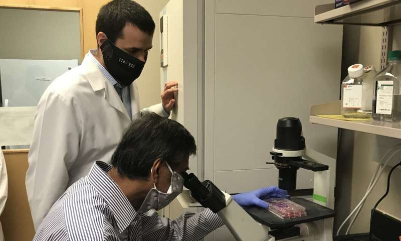 TTUHSC scientist takes next step in search for bone disease treatment