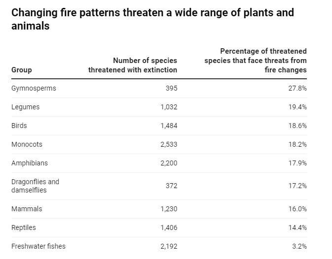 Humans are changing fire patterns, and it's threatening 4,403 species with extinction