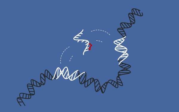 Study provides new data on ‘jumping genes’ linked to cancer, which could pave the way to new treatments and better diagnoses of 