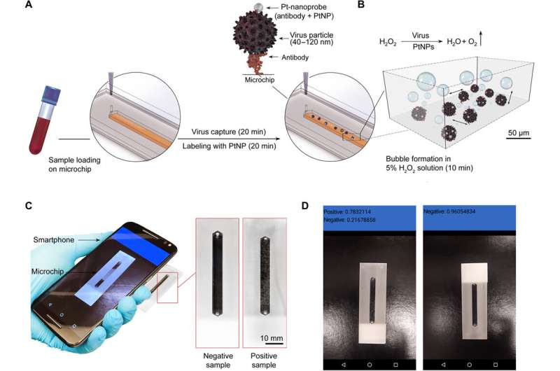 Smartphone camera used to diagnose various viral infections