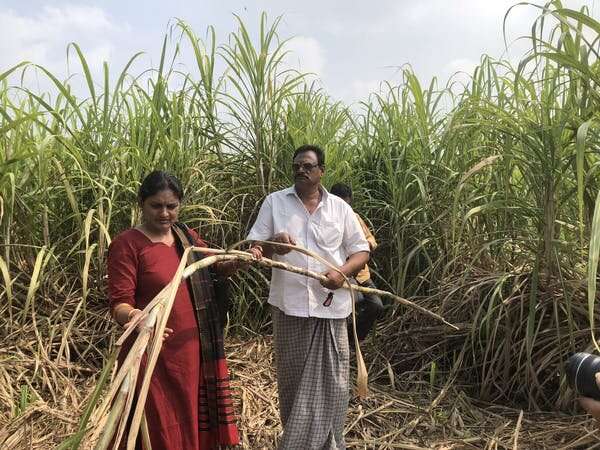 Climate crisis causing families to shun farmers for arranged marriages