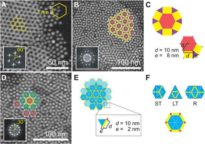 Electron microscopy of nanoparticle superlattice formation at a solid-liquid interface in non-polar liquids