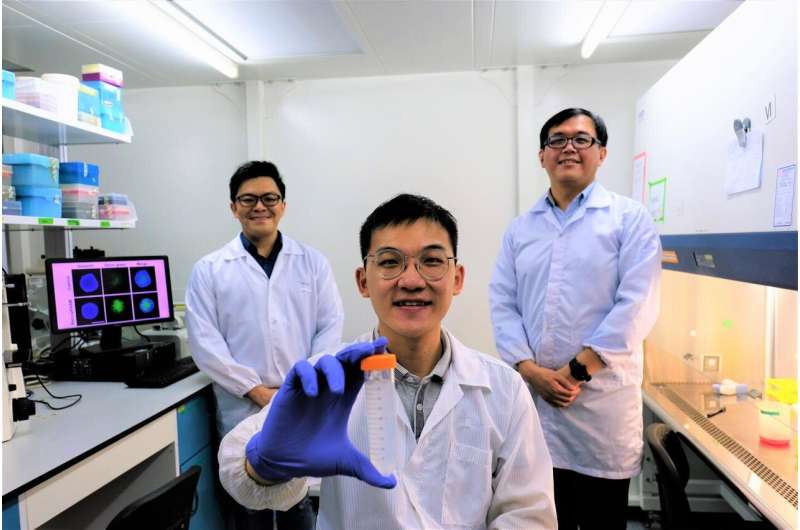 NTU Singapore scientists devise 'Trojan horse' approach to kill cancer cells without using drugs