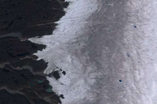 Research shows how glacier algae creates dark zone at the margins of the Greenland Ice Sheet