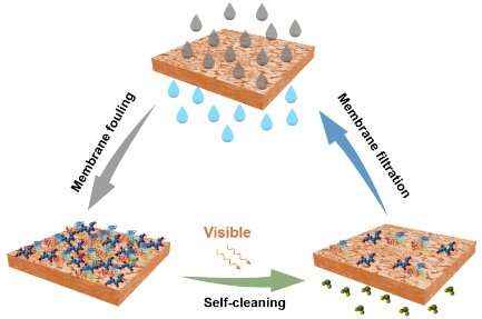 Scientists develop N-doped self-cleaning membranes that use visible light irradiation