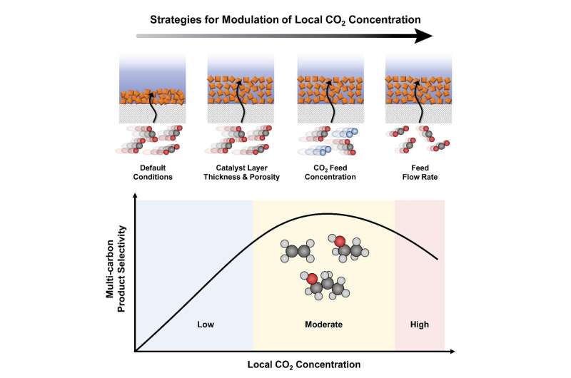 A new strategy for the optimal electroreduction of CO2 to high-value products