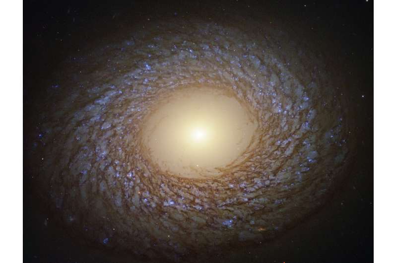 Image: Hubble spots feathered spiral
