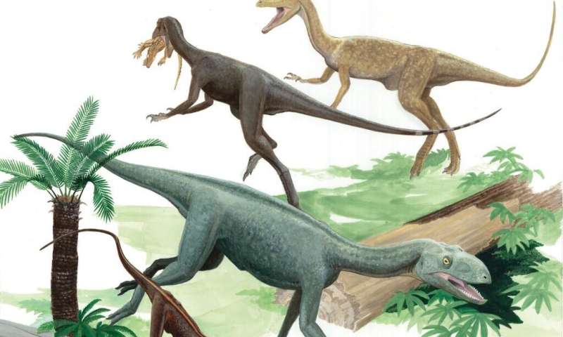 Paleontologists find pterosaur precursors that fill a gap in early evolutionary history