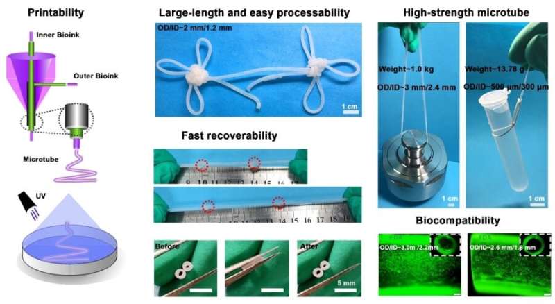 Scientists construct high-strength microtube by coaxial printing with customized biohybird hydrogel ink