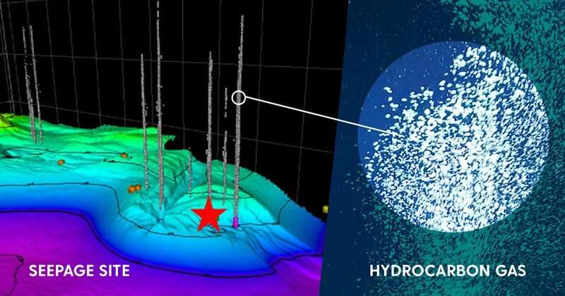 Study looks at life inside and outside of seafloor hydrocarbon seeps
