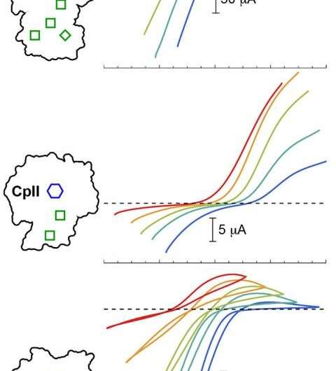 Researchers find how enzyme environment alters the rate and direction of a reaction