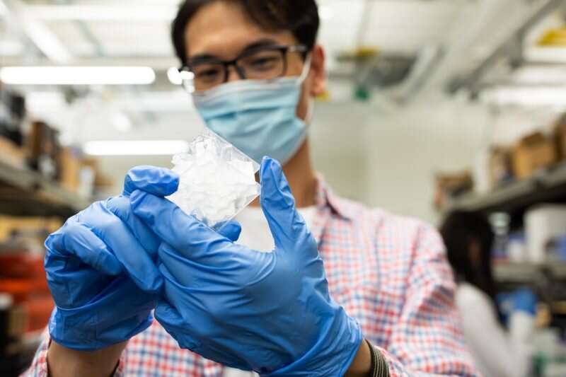 Researchers find cuttlebone's microstructure sits at a 'sweet spot'