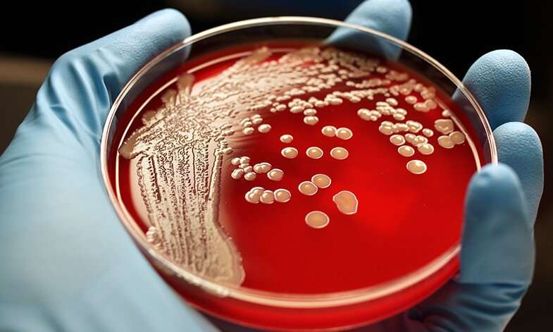 Scientists develop new compound which kills both types of antibiotic resistant superbugs