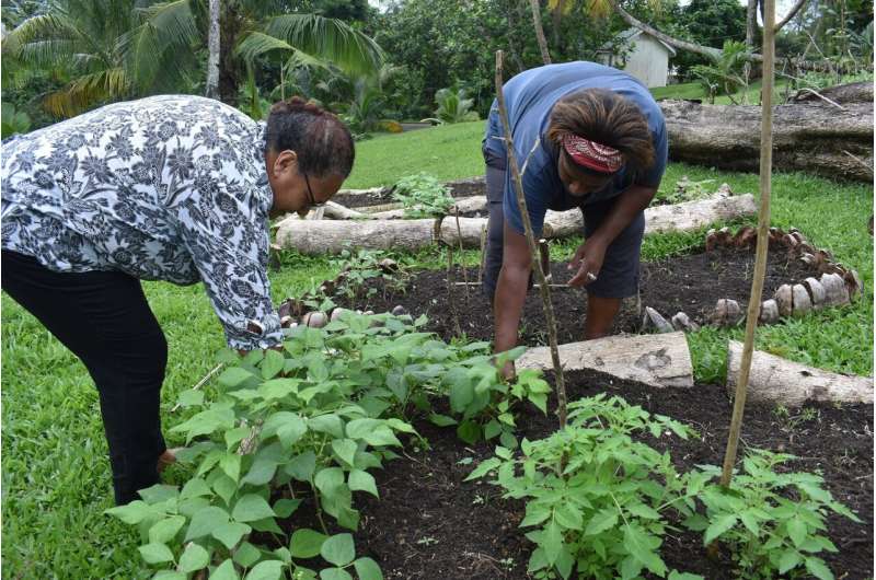 Amid pandemic, Pacific islands work to offset food shortages