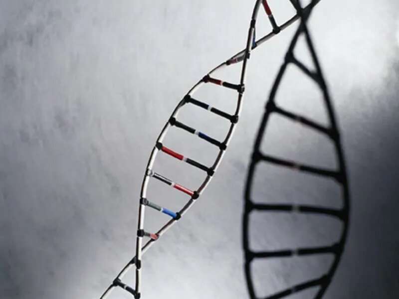 Guidance issued for genetic testing in prostate cancer