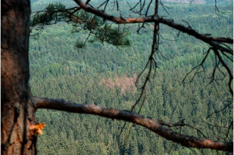 Satellite images display changes in the condition of European forests