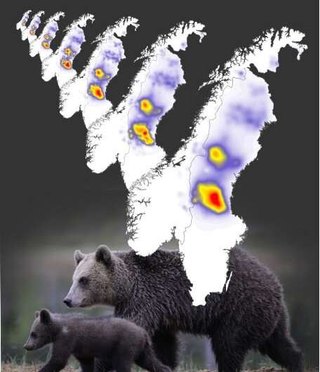 Scientists map and forecast apex predator populations at unprecedented scale