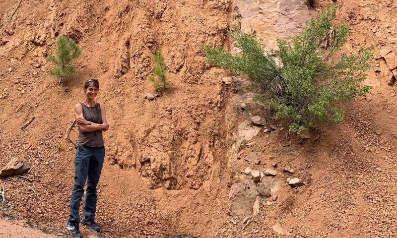 Researchers dig into case of geologic amnesia