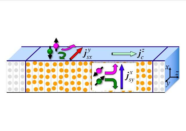 Study unveils dependence of spin memory loss in a variety of interfaces