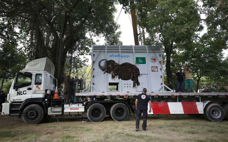 'World’s loneliest elephant' arrives safely in Cambodia