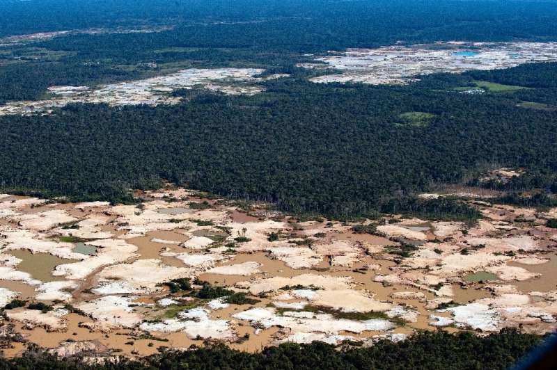 About 20 percent of the Amazon basin rainforest has been wiped out since 1970