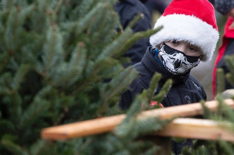 一个男孩穿着圣诞老人帽子和面具，同时寻找一棵圣诞树在一个农场的一个农场，安大略省，加拿大，12月5日，20