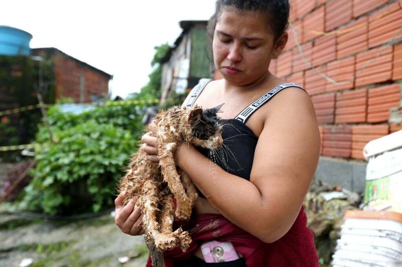 A cat rescued from a landslide in the Morro do Macaco Molhado favela in the coastal city of Guaruja, Sao Paulo