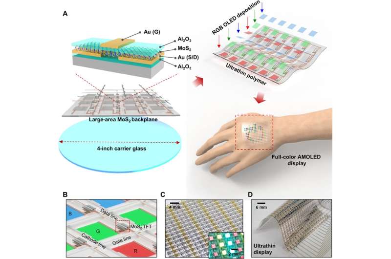 Active-matrix organic light-emitting diode display on human skin