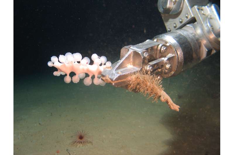 Additions to resource industry underwater robots can boost ocean discoveries