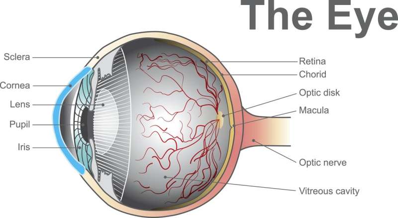 A device for the early detection of certain eyesight problems
