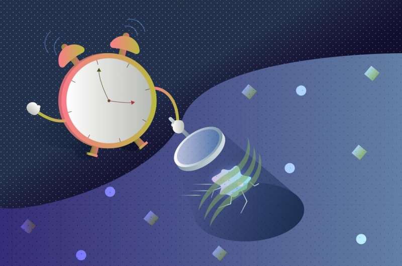 Advanced atomic clock makes a better dark matter detector