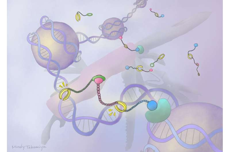 Advancing gene therapies: PIP pip hurray!