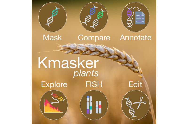 Advancing the application of genomic sequences through 'Kmasker plants'