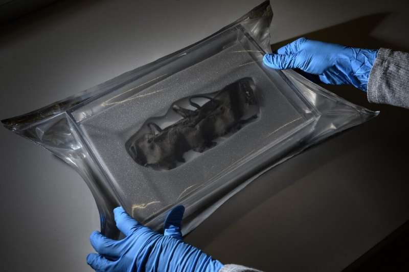 A laced shoe found with the remains of a prehistoric man dating back to around 2,800 BC