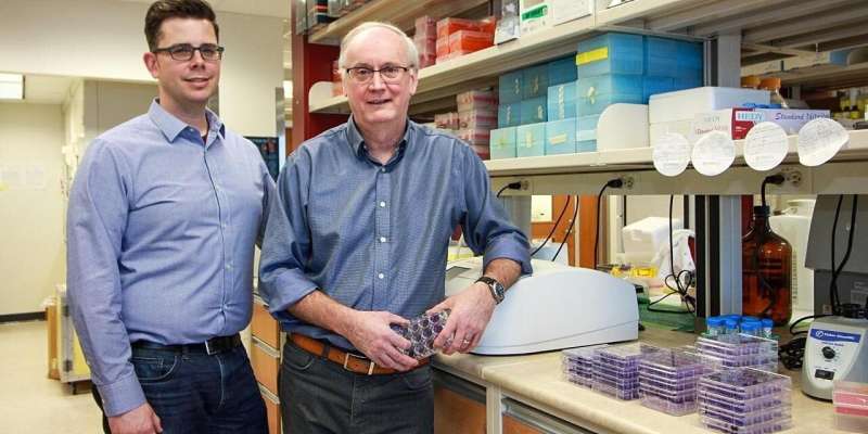 Alberta researchers, Tonix Pharmaceuticals race to develop candidate vaccines for COVID-19