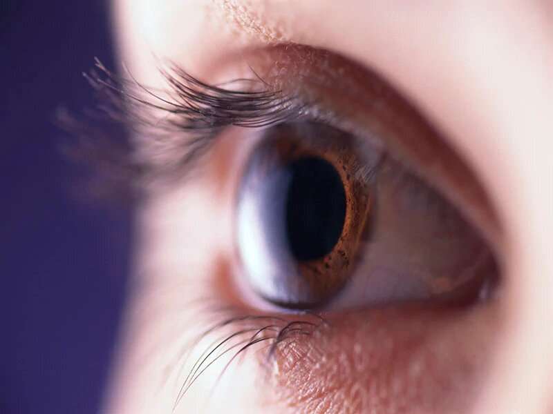 Americans lack knowledge about eye health