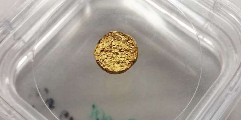 An 18-carat gold nugget made of plastic