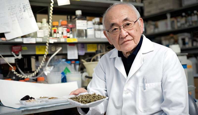 Ancient Chinese medicine unlocks new possibilities for cancer treatment