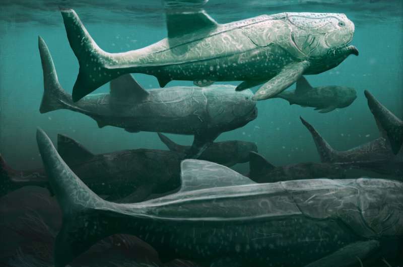 Ancient giant armored fish fed in a similar way to basking sharks