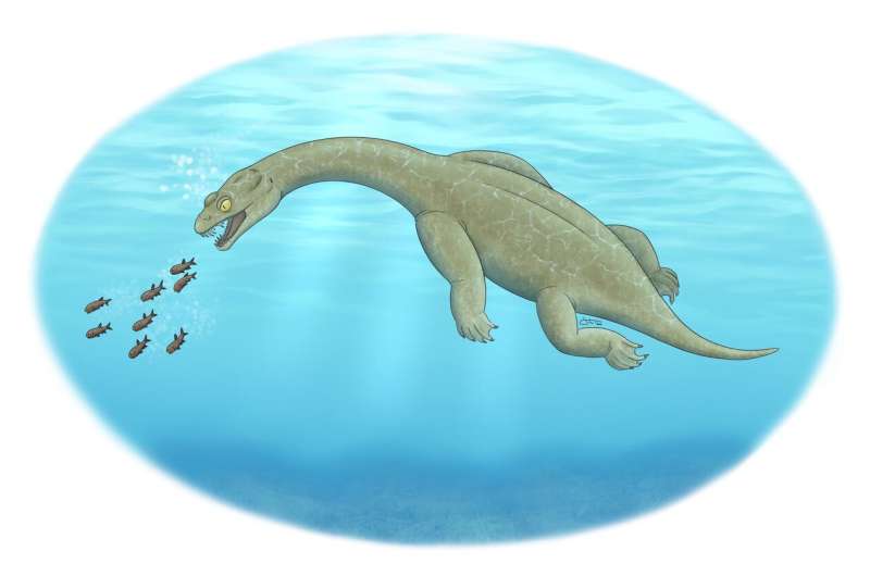 Ancient marine predator had a built-in float