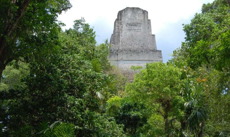 Ancient Maya reservoirs contained toxic pollution