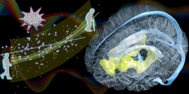 A new biomarker for the aging brain