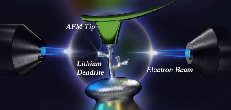 A new method to study lithium dendrites could lead to better, safer batteries