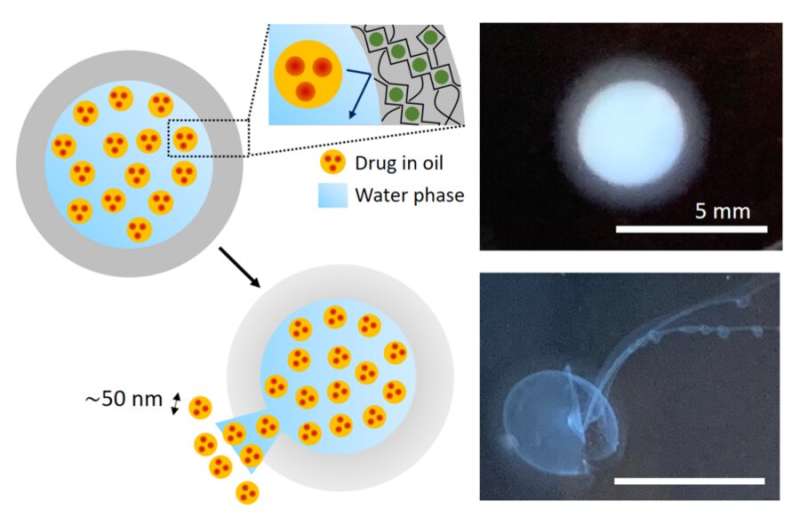 A new platform for controlled delivery of key nanoscale drugs and more