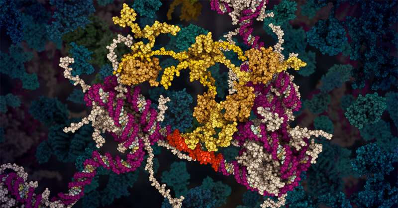 Animation reveals secrets of critical tumour protein
