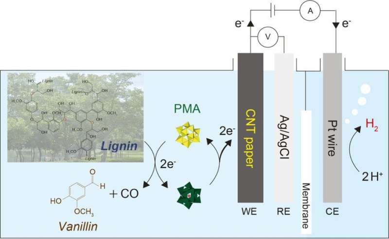 A novel biofuel system for hydrogen production from biomasss